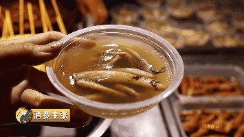 广东人吃虫子是真的吗?