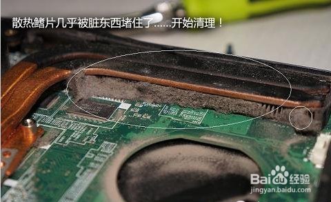 笔记本怎么清理灰尘,教您怎么清理笔记本里的灰尘
