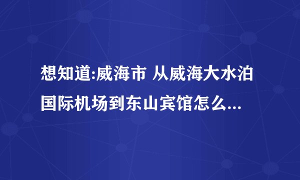 想知道:威海市 从威海大水泊国际机场到东山宾馆怎么坐公交？