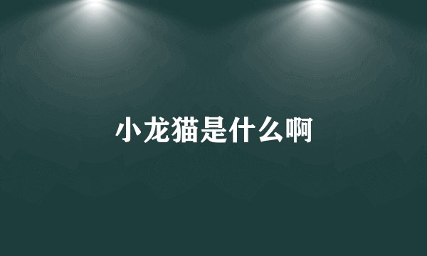 小龙猫是什么啊