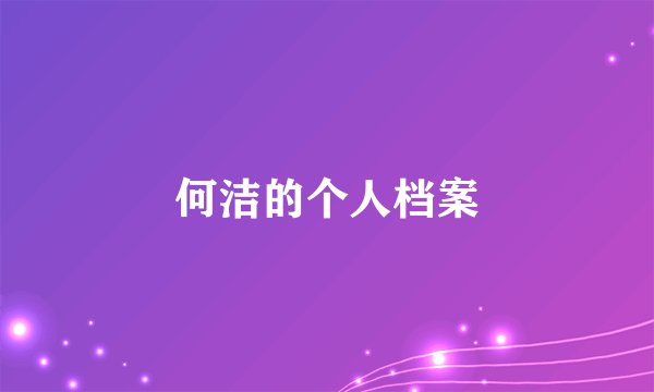何洁的个人档案