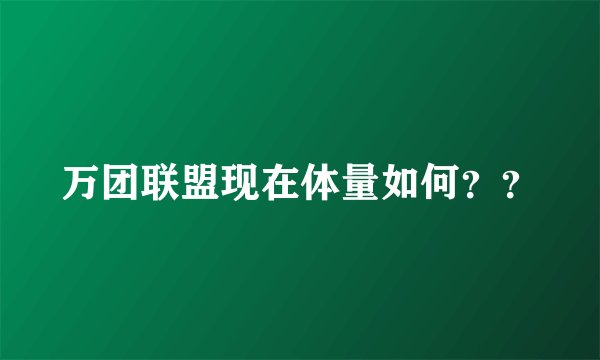 万团联盟现在体量如何？？