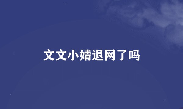 文文小婧退网了吗