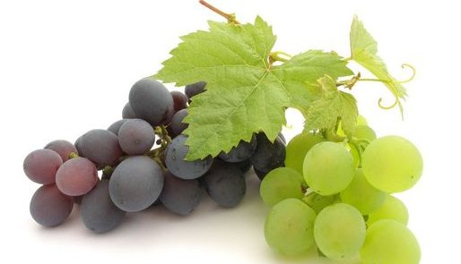 葡萄皮上的小颗粒可以扣掉那是什么?