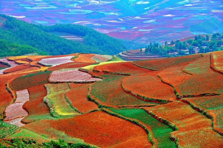 云南保山市施甸县发生4.7级地震，给当地带来了多大损失？