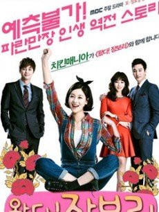 安微卫视播放的我爱张宝利一共有多少集