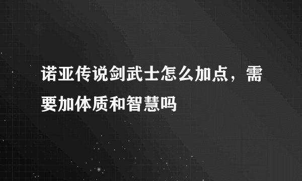 诺亚传说剑武士怎么加点，需要加体质和智慧吗