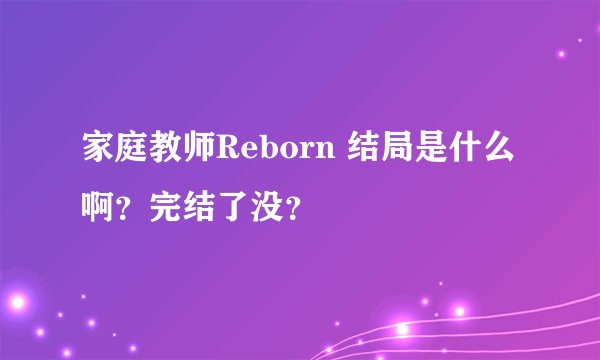 家庭教师Reborn 结局是什么啊？完结了没？