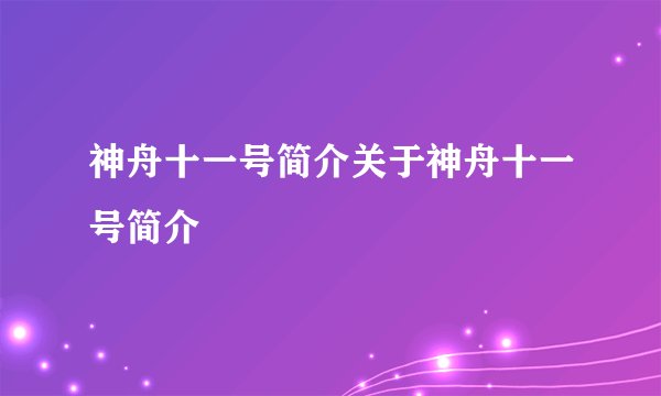 神舟十一号简介关于神舟十一号简介