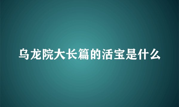 乌龙院大长篇的活宝是什么