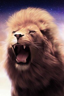 海星与狮子2的作者简介