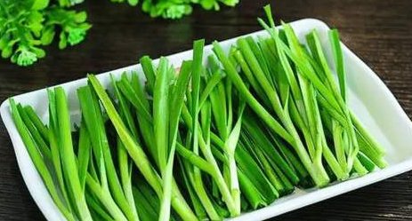 哪几种植物是世界上长得最快的植物?