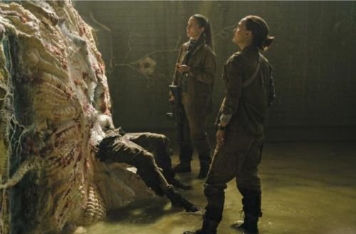 谁能给我详细讲解《科洛弗档案》的内容，我有点看不明白。