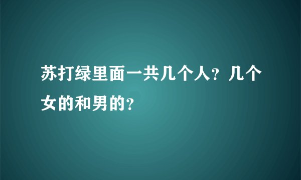 苏打绿里面一共几个人？几个女的和男的？