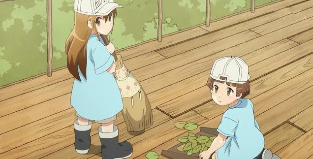 如何评价《工作细胞》这部动漫？