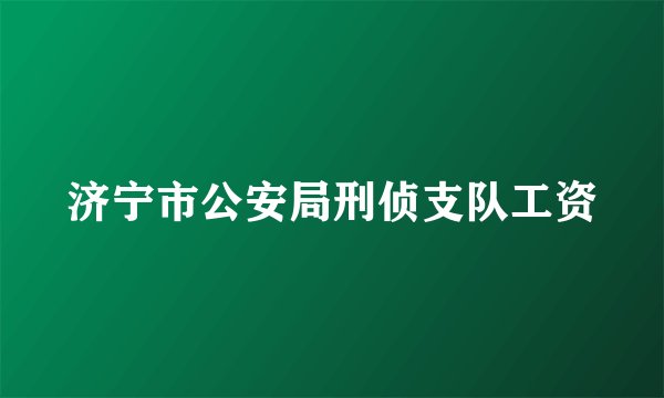 济宁市公安局刑侦支队工资