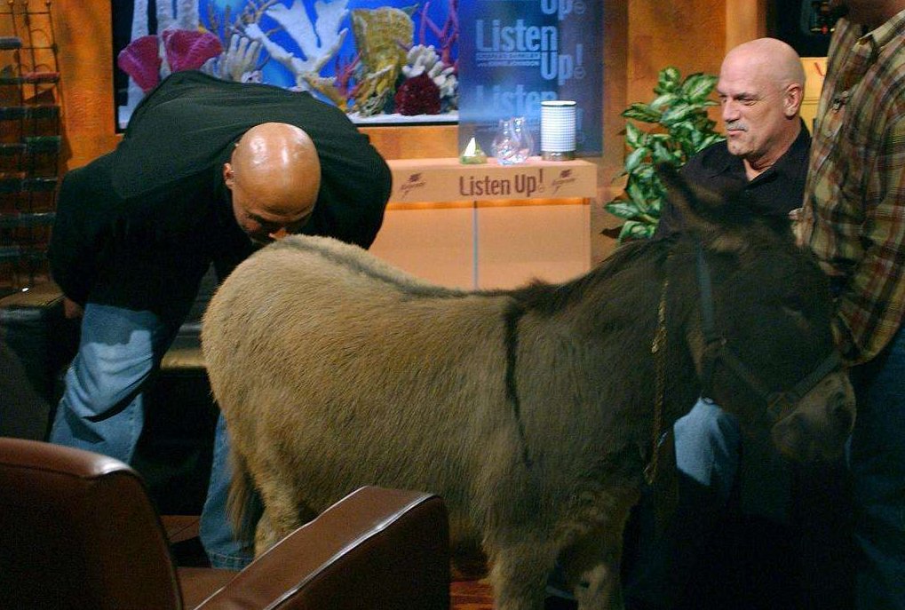 当年姚明让老外亲驴屁股是怎么一回事