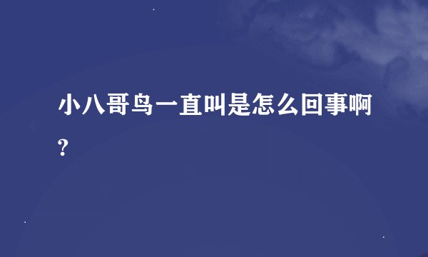 小八哥鸟一直叫是怎么回事啊?