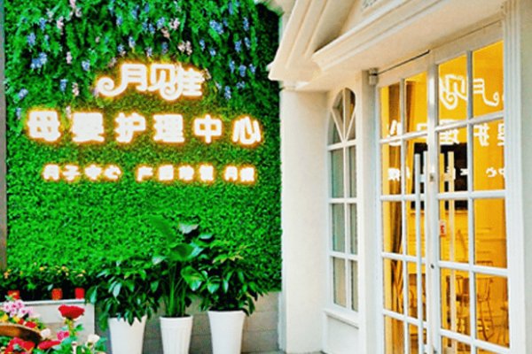 正规月嫂公司排行