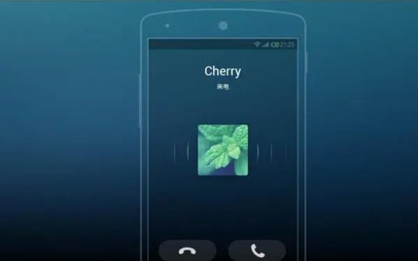 语音通话费指什么