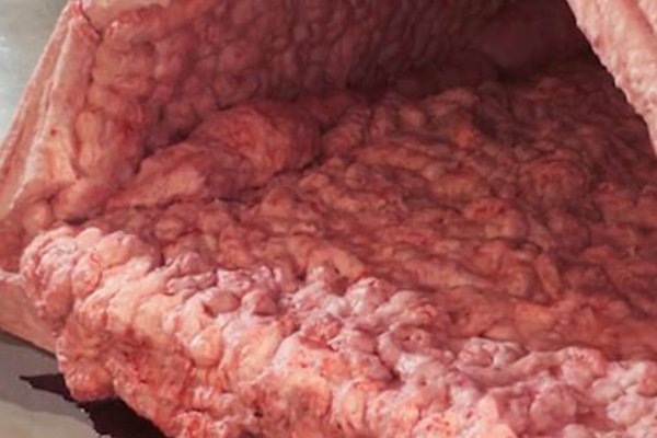 世界上最“恐怖”帐篷,睡一晚获得七万美金,为何至今无人挑战成功?