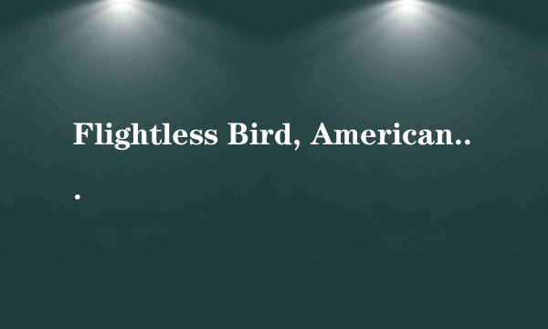 Flightless Bird, American Mouth的中文意思