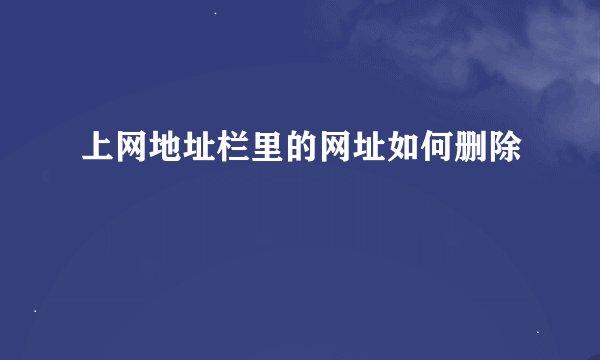 上网地址栏里的网址如何删除