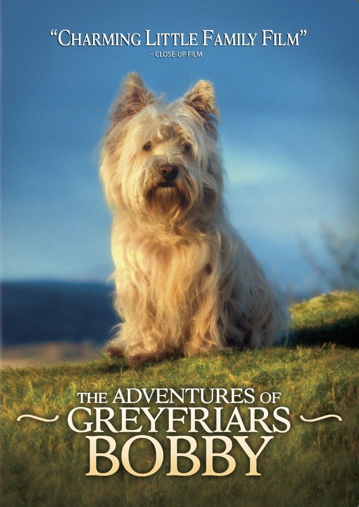 忠狗巴比传奇的幕后花絮