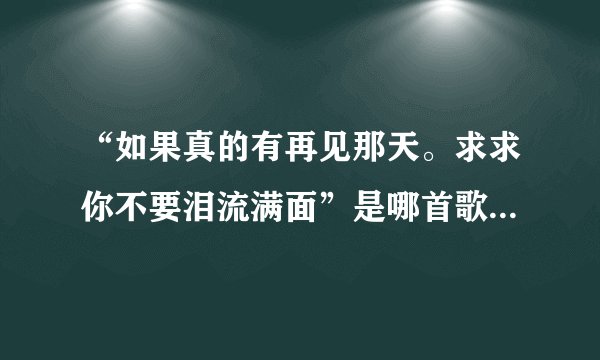 “如果真的有再见那天。求求你不要泪流满面”是哪首歌曲的歌词？