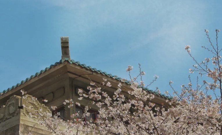 湖北省全部大学排名