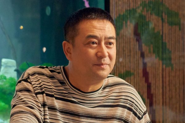 闫妮张嘉译合作的电视剧