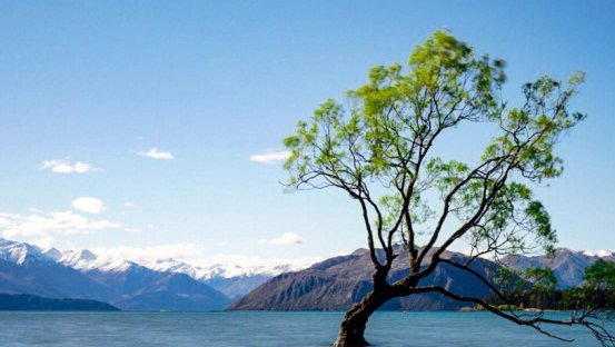 去新西兰旅游要多少钱呢？