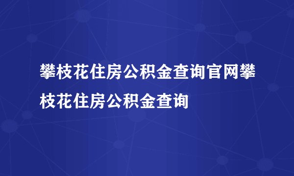 攀枝花住房公积金查询官网攀枝花住房公积金查询