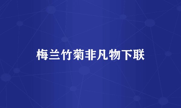 梅兰竹菊非凡物下联