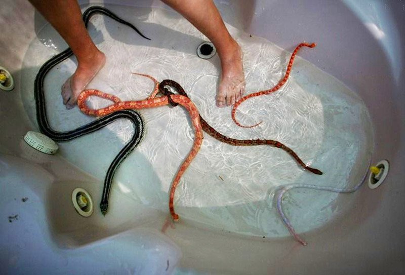 蛇式按摩的介绍