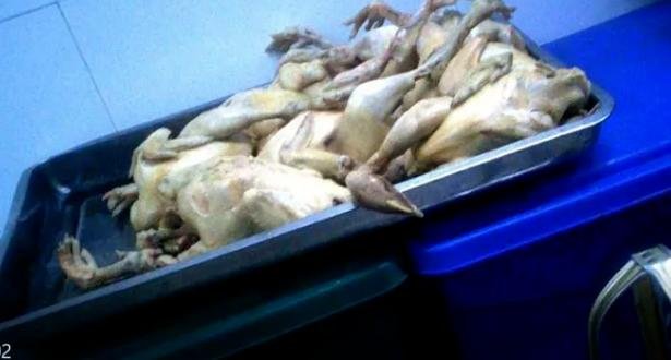 监管部门介入绿茶餐厅卫生乱象，它们存在什么安全问题？