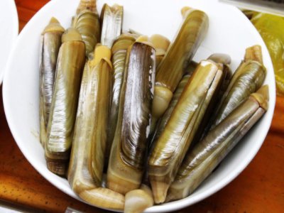 贝壳类海鲜图片及名称