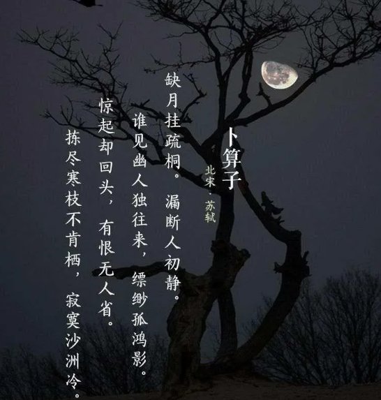 苏轼的“拣尽寒枝不肯栖，寂寞沙洲冷”，应该怎样理解？