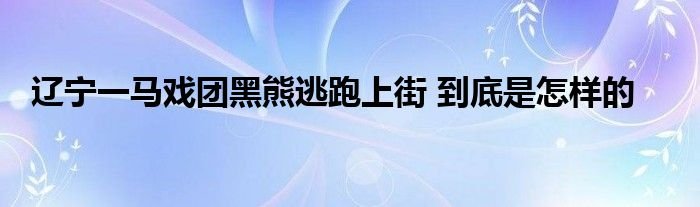 辽宁一马戏团黑熊逃跑上街到底是怎样的
