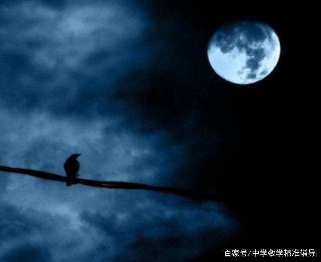 苏轼的“拣尽寒枝不肯栖，寂寞沙洲冷”，应该怎样理解？