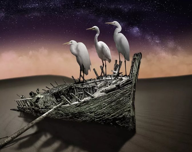 苏轼的“拣尽寒枝不肯栖，寂寞沙洲冷”，应该怎样理解？