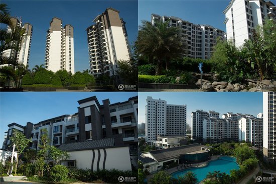 城市候鸟的介绍