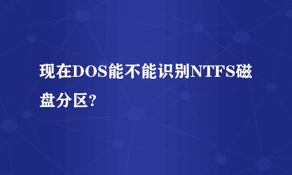 现在DOS能不能识别NTFS磁盘分区?