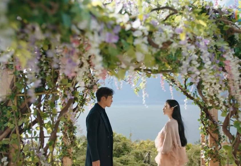 电视剧司藤中，司藤和秦放有血缘关系吗？