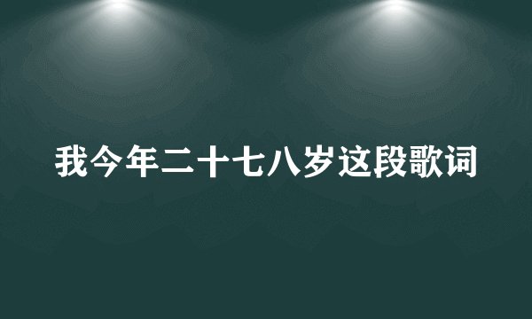 我今年二十七八岁这段歌词