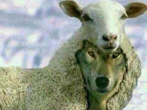 大街上陌生人跟你问路会不会是骗局？