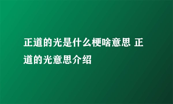 正道的光是什么梗啥意思 正道的光意思介绍