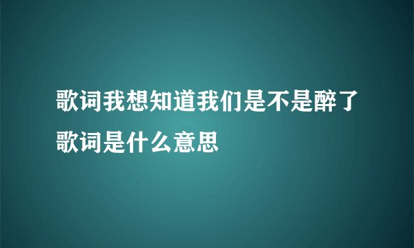 歌词我想知道我们是不是醉了歌词是什么意思