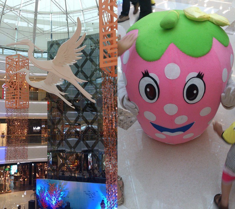 家有仙土的作品目录