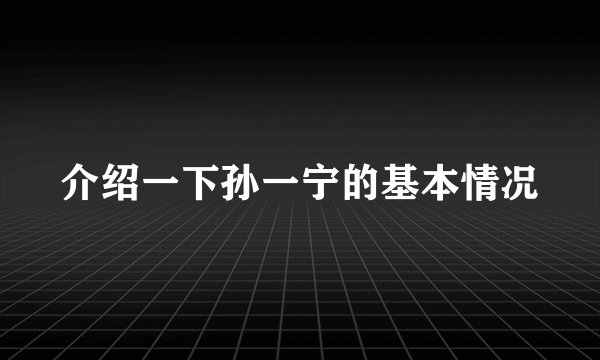 介绍一下孙一宁的基本情况